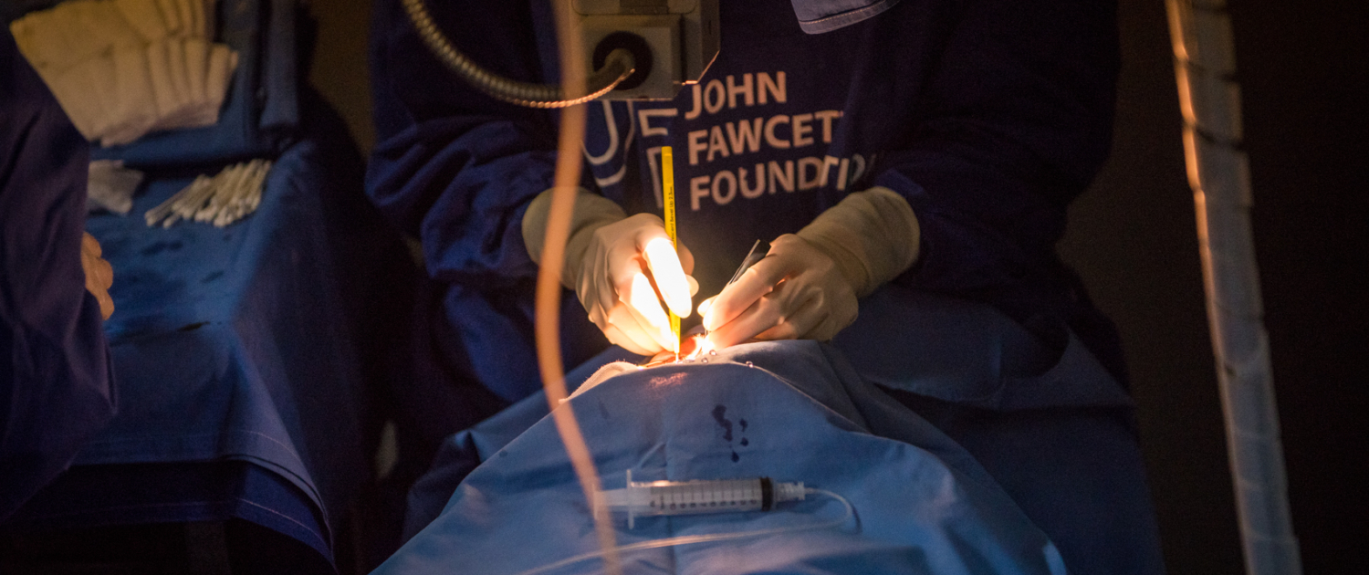 Doctor performing cataract surgery